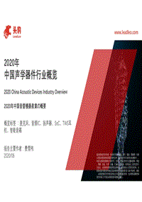 2020年中国声学器件行业概览.pdf