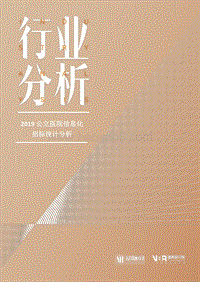 2019公立医院信息化招标统计分析.pdf