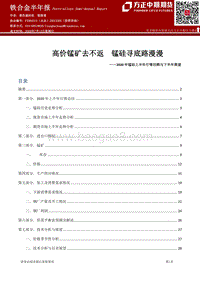 2020年锰硅上半年行情回顾与下半年展望：高价锰矿去不返，锰硅寻底路漫漫.pdf