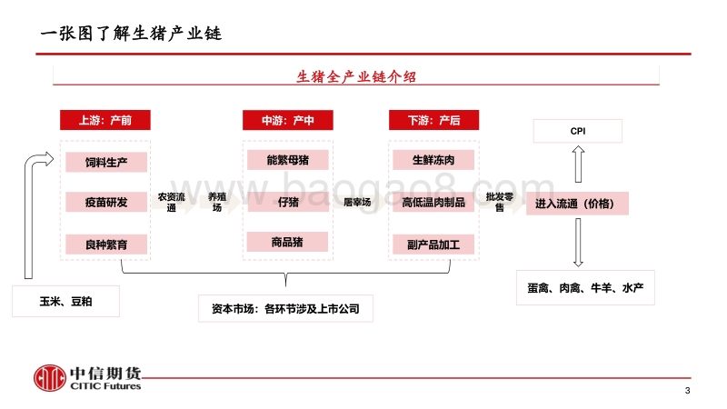 生猪产业基础、研究体系及价格展望.pdf_第3页