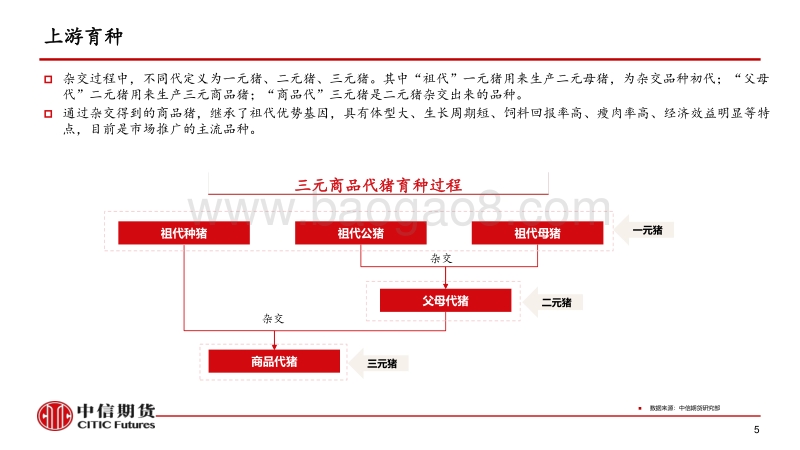 生猪产业基础、研究体系及价格展望.pdf_第5页