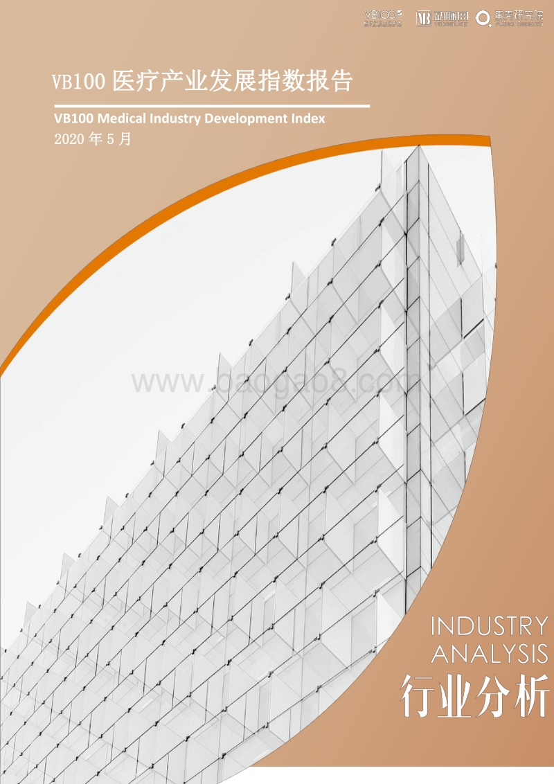 VB100医疗产业发展指数报告.pdf_第1页