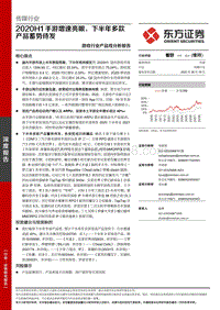 游戏行业产品线分析报告：2020H1手游增速亮眼，下半年多款产品蓄势待发.pdf