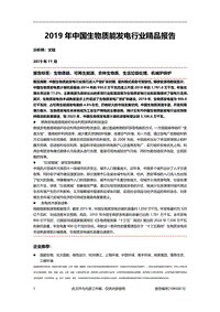 2019年中国生物质能发电行业精品报告.pdf