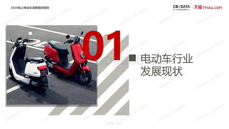 2020线上电动车消费趋势报告.pdf_第3页