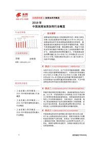 2019年中国润滑油添加剂行业概览.pdf