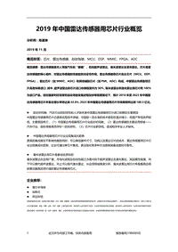 2019年中国雷达传感器用芯片行业概览.pdf