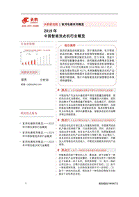 2019年中国智能洗衣机行业概览.pdf