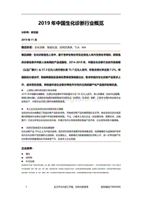 2019年中国生化诊断行业概览.pdf