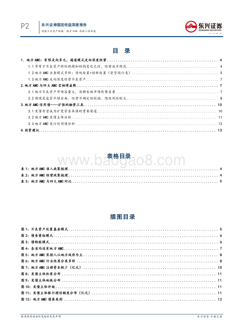 AMC系列报告之二：逐鹿不良资产领域：地方AMC或驶入快车道.pdf_第2页