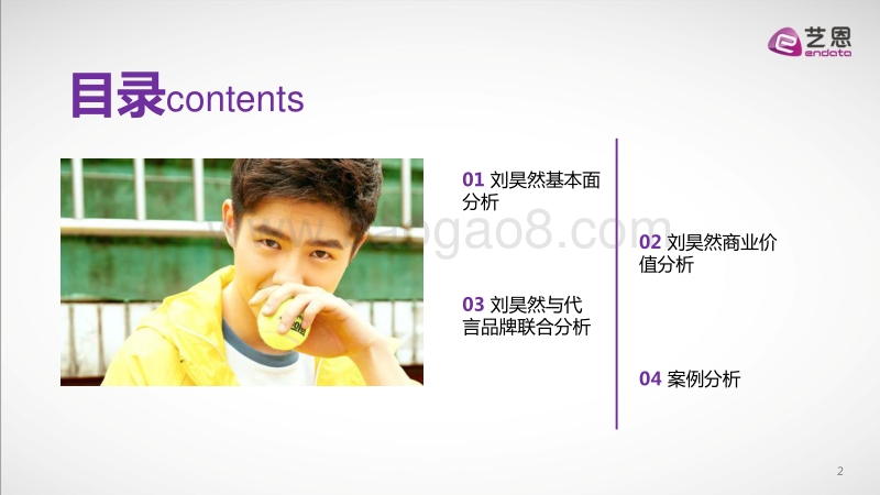 刘昊然商业价值数据报告.pdf_第2页