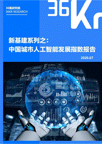 新基建系列之：中国城市人工智能发展指数报告.pdf