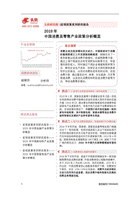 2019年中国消费及零售产业政策分析概览.pdf