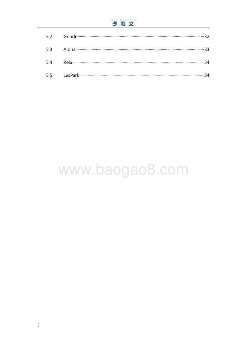 全球LGBTQ平台行业发展白皮书.pdf_第4页