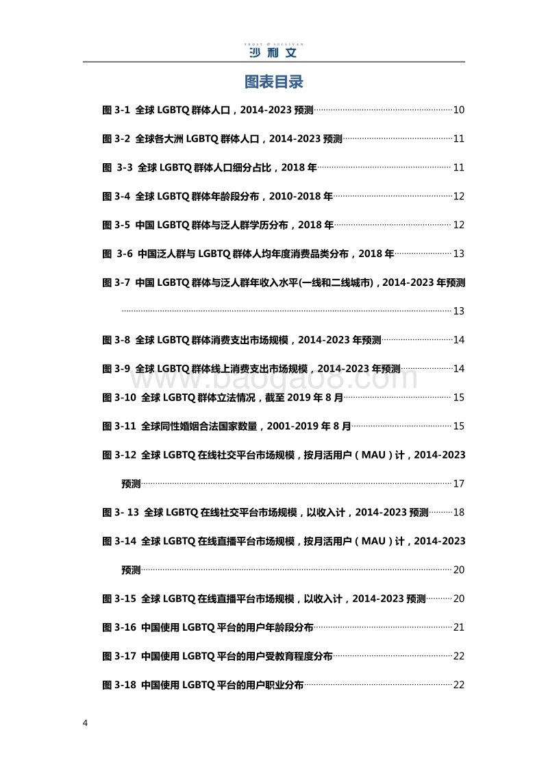 全球LGBTQ平台行业发展白皮书.pdf_第5页
