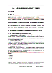 2019年中国肿瘤消融器械行业概览.pdf