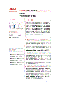 2019年中国养老保险行业概览.pdf