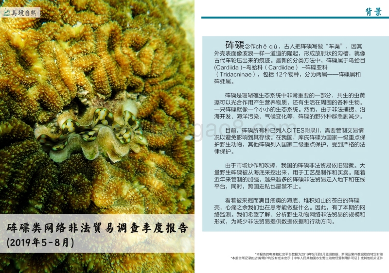 2019年5月-8月砗磲类网络非法贸易调查季度报告.pdf_第1页
