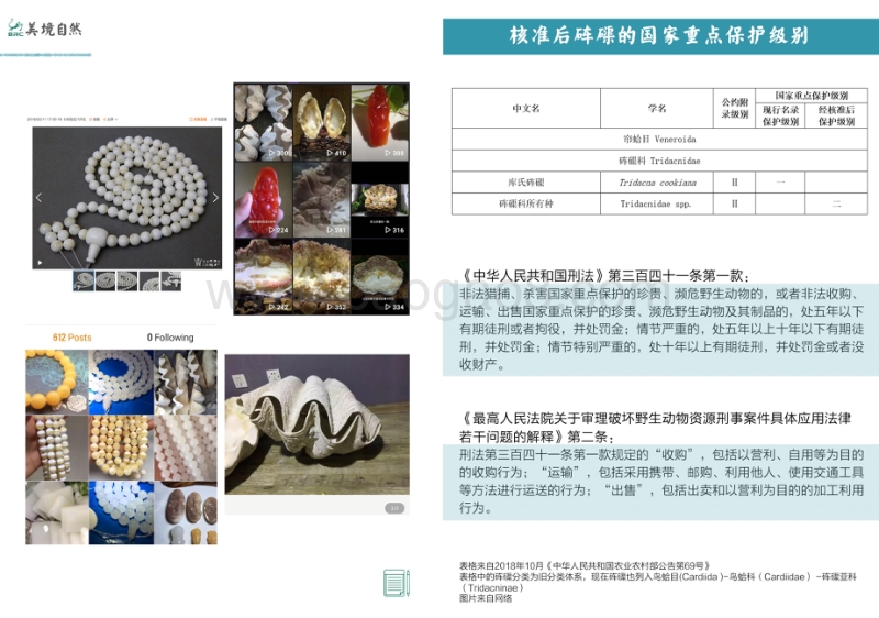 2019年5月-8月砗磲类网络非法贸易调查季度报告.pdf_第2页