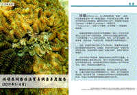 2019年5月-8月砗磲类网络非法贸易调查季度报告.pdf