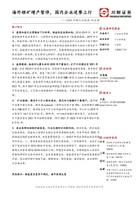 2020年锂行业梳理供应篇：海外锂矿增产暂停，国内企业逆势上行.pdf