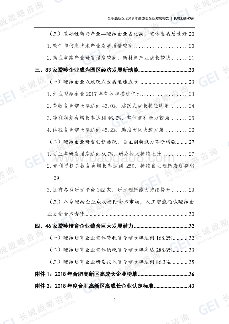 合肥高新区2018年度高成长企业发展报告.pdf_第5页