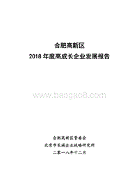 合肥高新区2018年度高成长企业发展报告.pdf