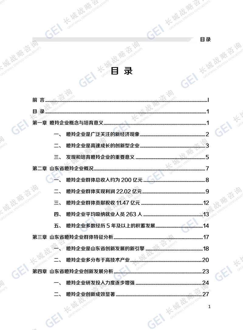 2017山东省瞪羚企业发展报告.pdf_第5页