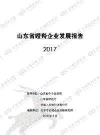 2017山东省瞪羚企业发展报告.pdf