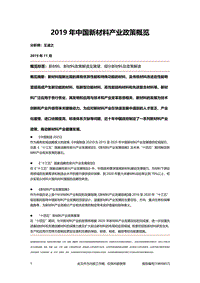 2019年中国新材料产业政策概览.pdf