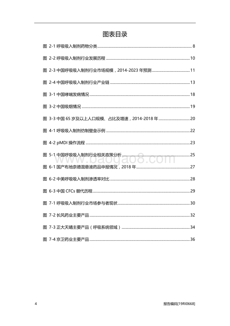 2019年中国呼吸吸入制剂行业概览.pdf_第4页