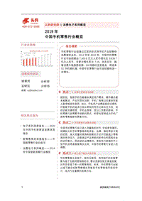 2019年中国手机零售行业概览.pdf