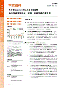 大消费行业2020年上半年数据观察：必选消费表现稳健，耐用、升级消费仍需观察.pdf