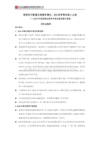 2019年我国绿色债券市场发展回顾与展望.pdf