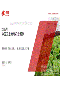 2019年中国无土栽培行业概览.pdf