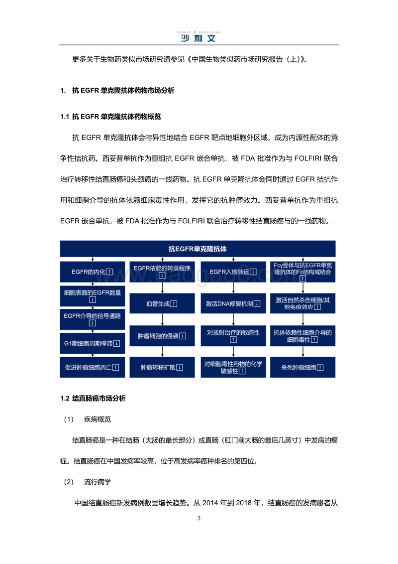 中国生物类似药市场研究报告（中）.pdf_第3页