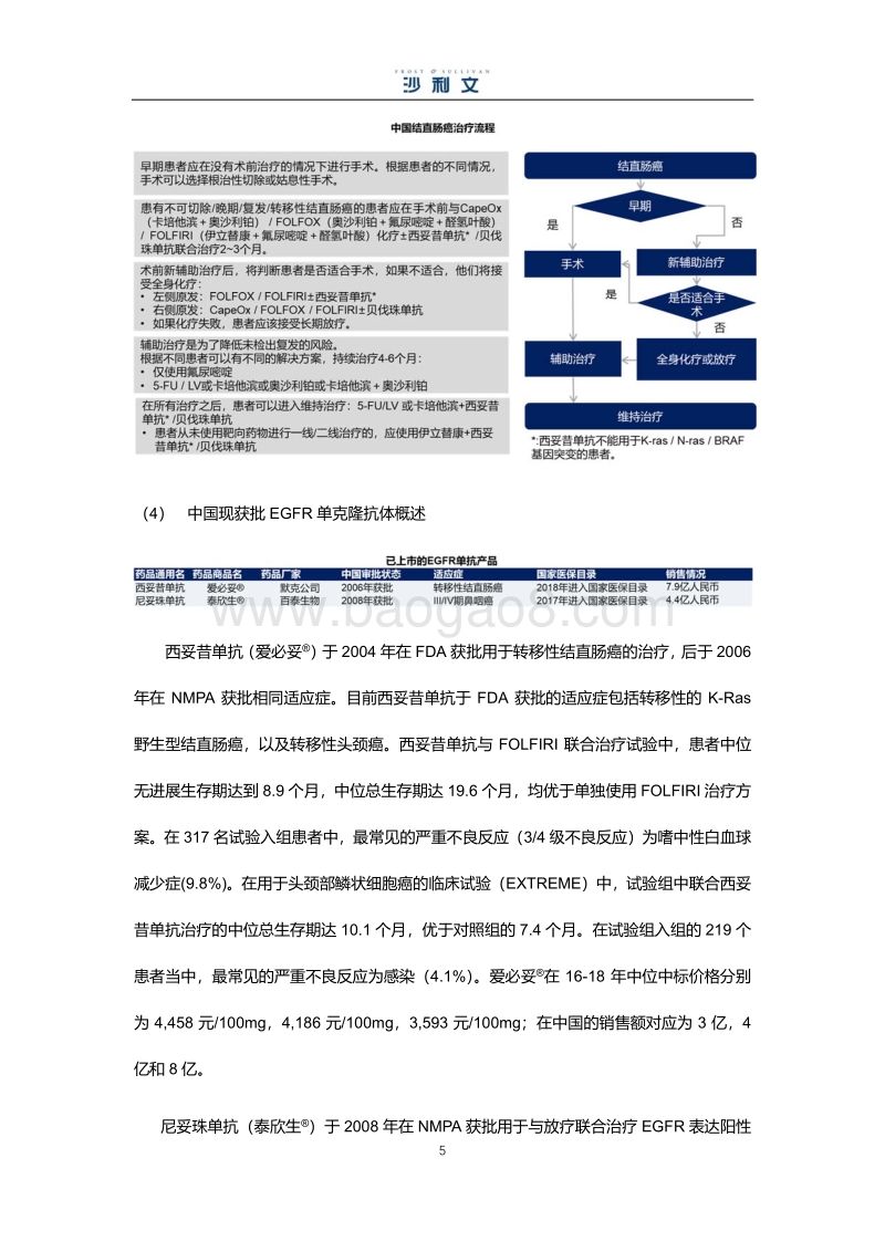 中国生物类似药市场研究报告（中）.pdf_第5页