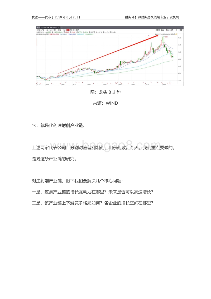 注射剂产业链梳理，上下游竞争格局如何？.pdf_第2页