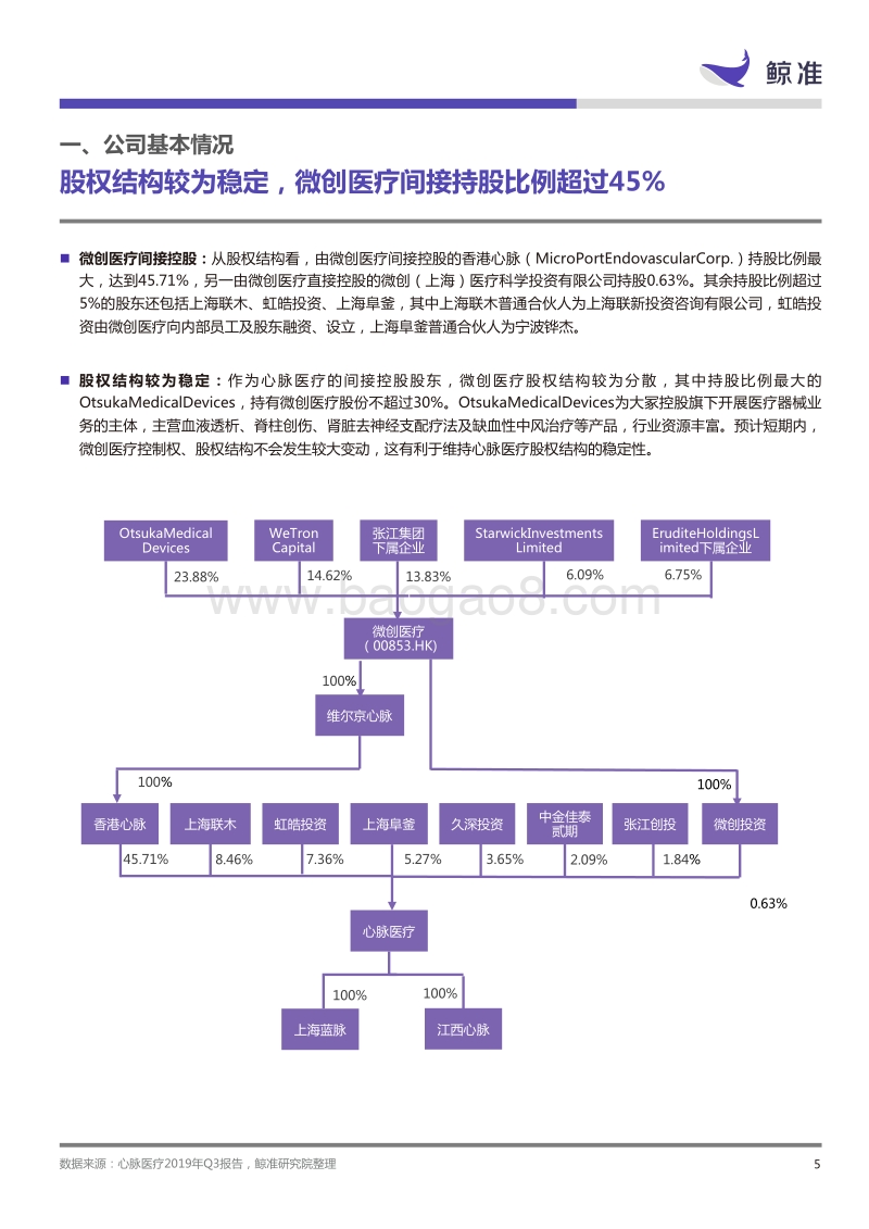 科创板公司研究.pdf_第5页