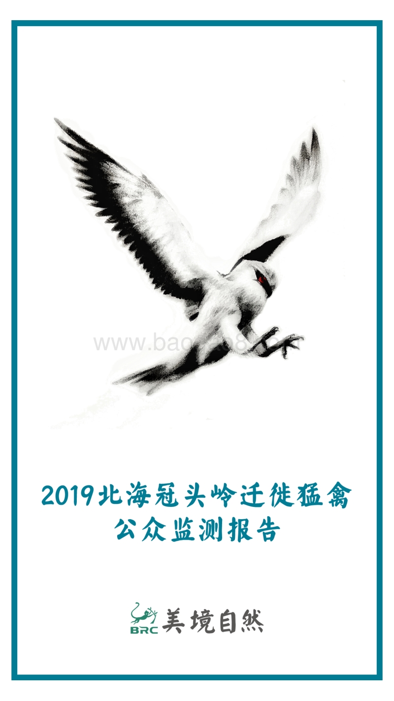 2019北海冠头岭迁徙猛禽公众监测报告.pdf_第1页