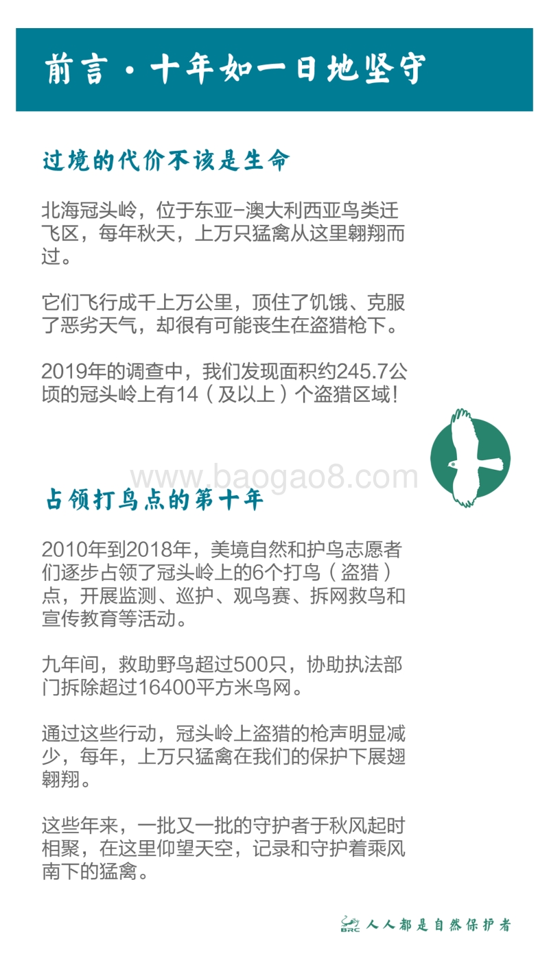 2019北海冠头岭迁徙猛禽公众监测报告.pdf_第2页