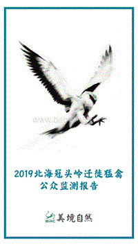 2019北海冠头岭迁徙猛禽公众监测报告.pdf