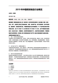 2019年中国假发制品行业概览.pdf