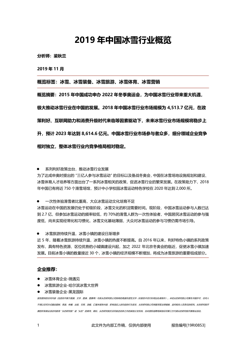 2019年中国冰雪行业概览.pdf_第1页