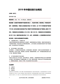 2019年中国拉链行业概览.pdf
