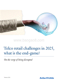 2025年电信零售业的挑战，最后的游戏是什么？（英文版）.pdf