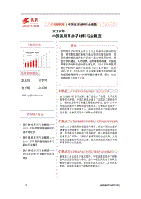 2019年中国医用高分子材料行业概览.pdf