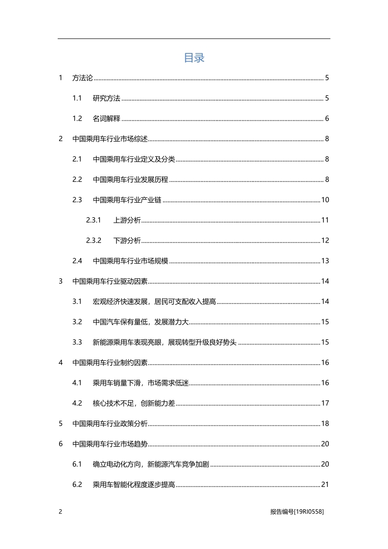 2019年中国乘用车行业概览.pdf_第2页