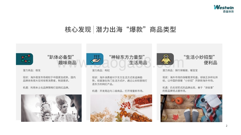 2020年出海爆款单品预测.pdf_第2页