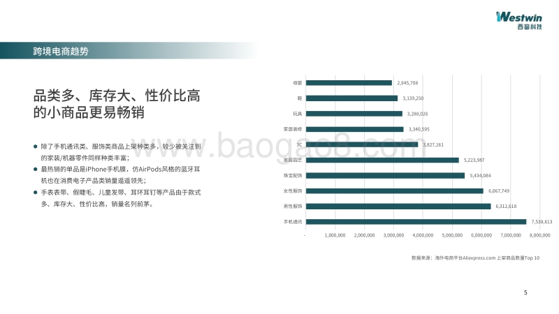 2020年出海爆款单品预测.pdf_第5页